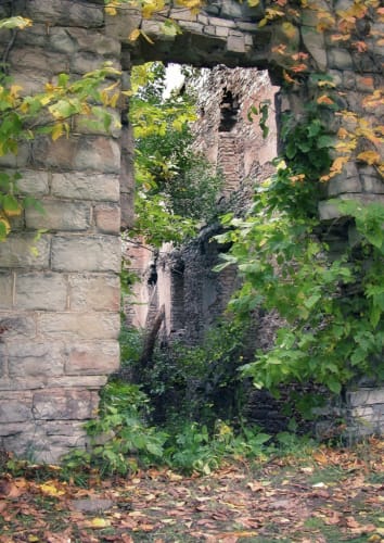 Mill Ruins