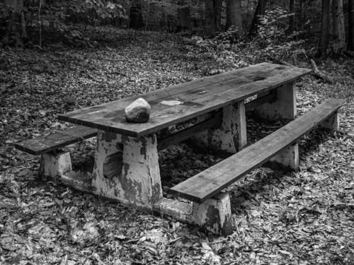 Rock on Picnic Table