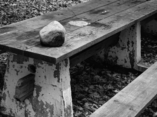 Rock on Picnic Table (detail)