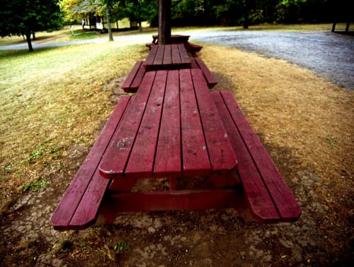 Picnic Tables in a Row