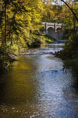 Bridge Over Creek