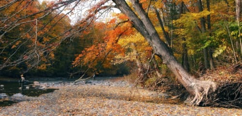 Eighteen Mile Creek