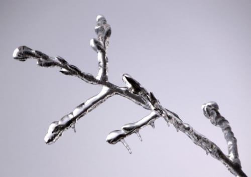 Ice on Twig 1