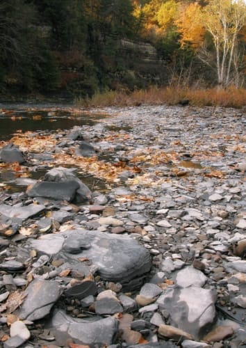 Along Eighteen Mile Creek