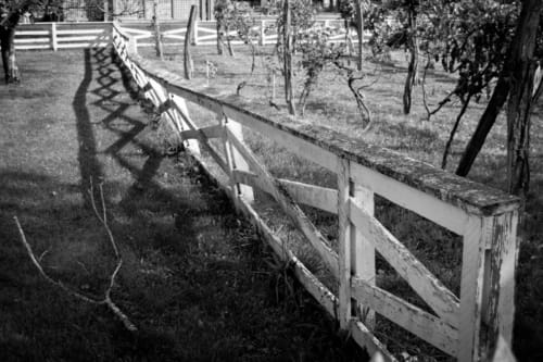 White Fence  Shadow