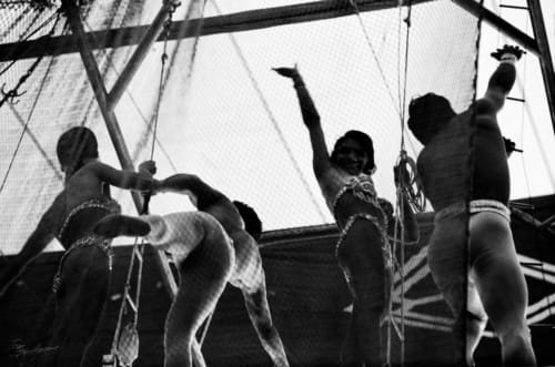Flying Trapeze Artists
