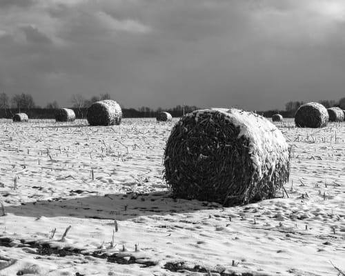 Snow on Hay Bails