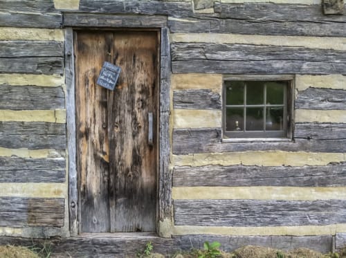 Come to the Back Door