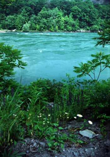 Niagara Gorge