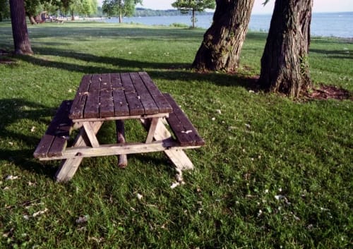 Picnic Table by the Trees