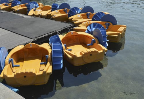 Paddle Boats